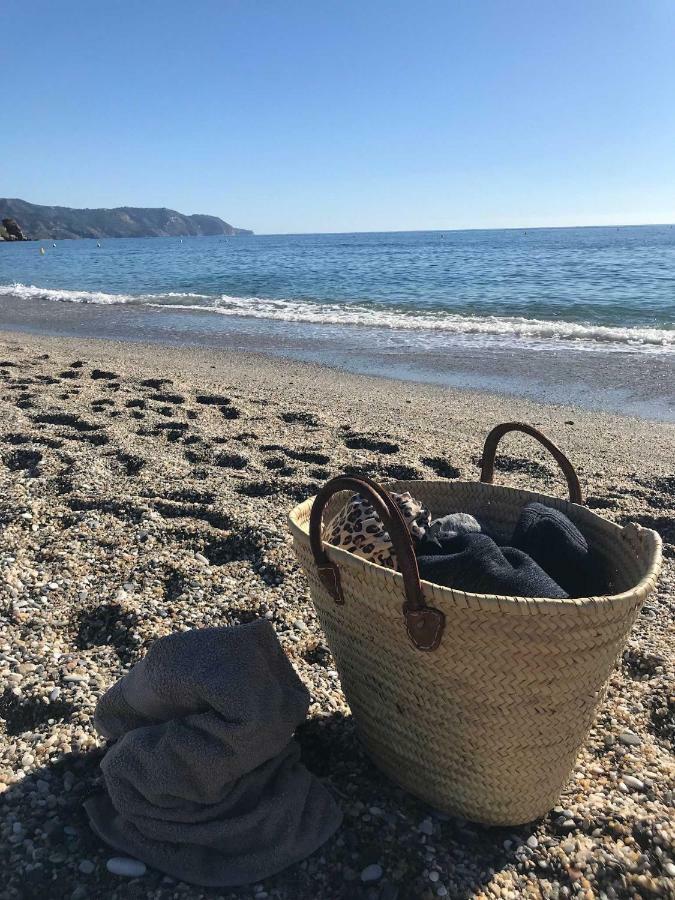 ネルハCapistrano Playa 307アパートメント エクステリア 写真